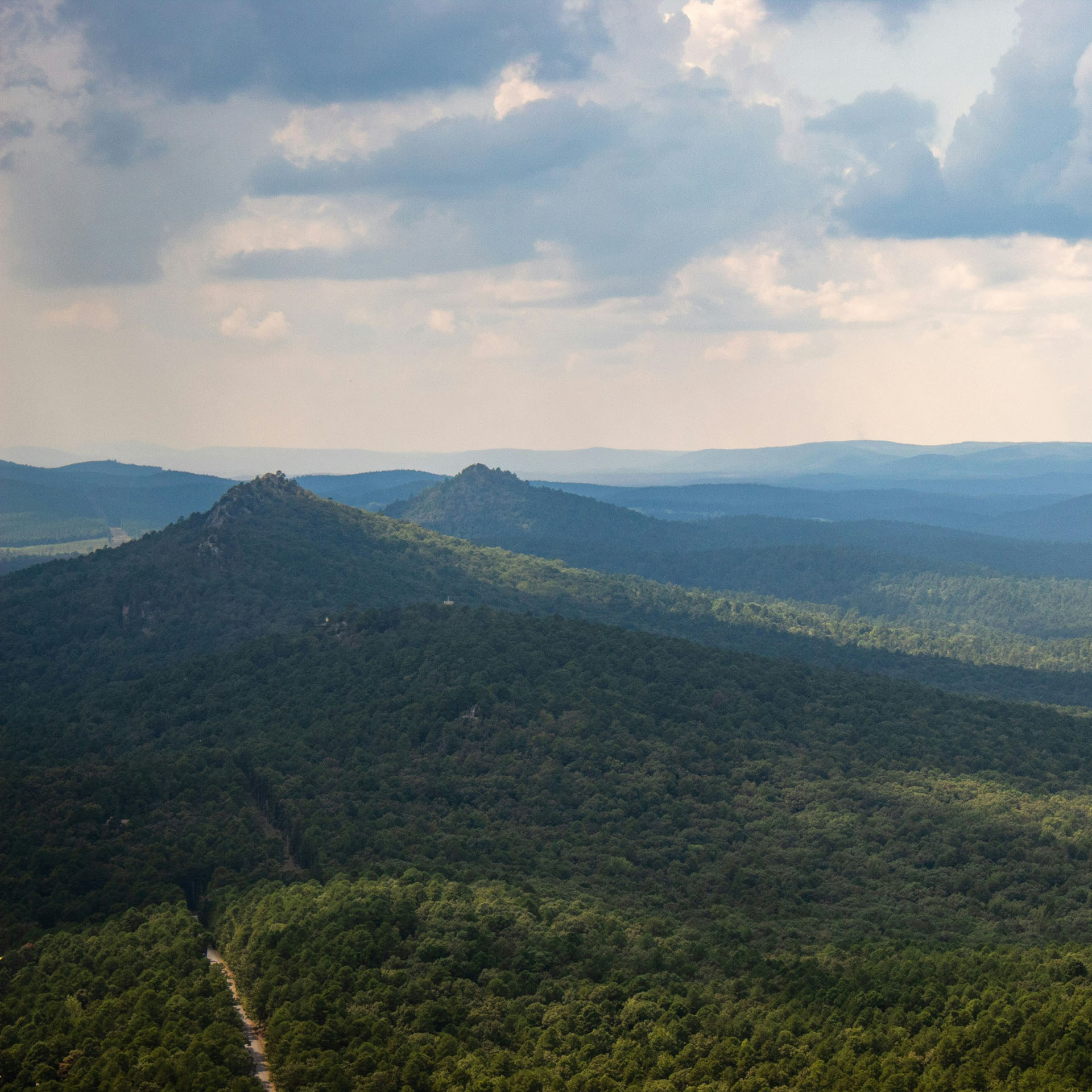 Pool service professional maintaining a swimming pool in Benton, Arkansas